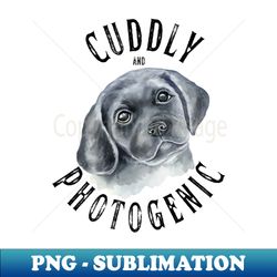 Cuddly and Photogenic Tshirt - Premium PNG Sublimation File - Vibrant and Eye-Catching Typography