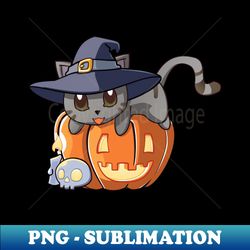 Grey Cat on a Pumpkin - Special Edition Sublimation PNG File - Perfect for Sublimation Art