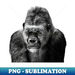 gorilla  swiss artwork photography - decorative sublimation png file - stunning sublimation graphics