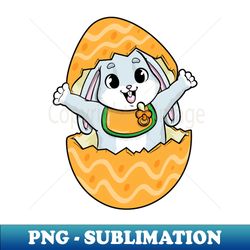 Baby Rabbit With Pacifier Bib And Egg - Signature Sublimation Png File - Spice Up Your Sublimation Projects
