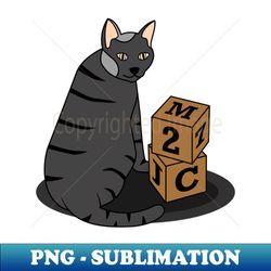 Funny black cat with cubes - Premium PNG Sublimation File - Bring Your Designs to Life