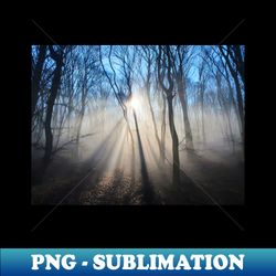 Dramatic sun rays through trees - Sublimation-Ready PNG File - Revolutionize Your Designs
