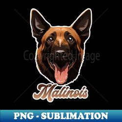 Belgian Shepherd Malinois - Elegant Sublimation Png Download - Fashionable And Fearless