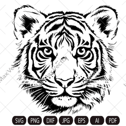 Tiger Svg, Tiger Clipart, Tiger Png, Tiger Head, Tiger detailed , Tiger Silhouette, Animals Silhouette