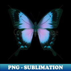 Butterfly - Sublimation-Ready PNG File - Instantly Transform Your Sublimation Projects