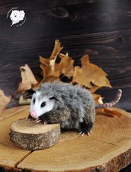 realistic mini toy possum pet portrait