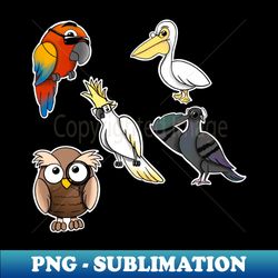Birds in colour - Decorative Sublimation PNG File - Instantly Transform Your Sublimation Projects