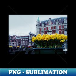 tulip flower on amsterdam city landscape - trendy sublimation digital download - unlock vibrant sublimation designs