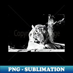 year of the tiger 2022  3   swiss artwork photography - decorative sublimation png file - perfect for personalization