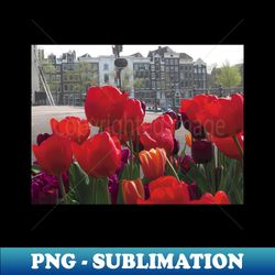 tulip flower on amsterdam city landscape - unique sublimation png download - transform your sublimation creations