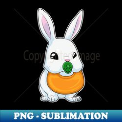 Rabbit Bib Pacifier - Instant Sublimation Digital Download - Revolutionize Your Designs