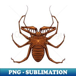 Drawing of a whip spider - Stylish Sublimation Digital Download - Boost Your Success with this Inspirational PNG Download