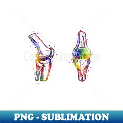 Knee Joint Anatomy Watercolor Painting - Modern Sublimation PNG File - Vibrant and Eye-Catching Typography