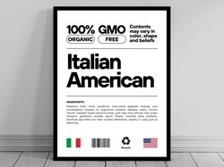 Italian American Unity Flag Poster Mid Century Modern American Melting Pot Rustic Charming Italian Humor US Patriotic De