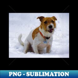 Jack russell terrier - Modern Sublimation PNG File - Perfect for Creative Projects