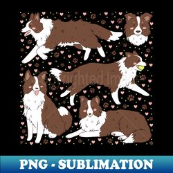 Cute brown border collie dog pattern - Modern Sublimation PNG File - Instantly Transform Your Sublimation Projects