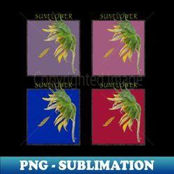 Sunflower multi - PNG Transparent Sublimation Design - Spice Up Your Sublimation Projects