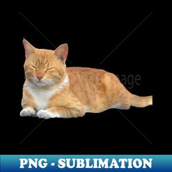 Sleepy Kitty - Exclusive PNG Sublimation Download - Fashionable and Fearless