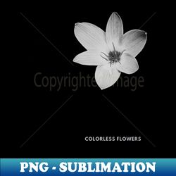 ColorLess flowerrs - Professional Sublimation Digital Download - Spice Up Your Sublimation Projects