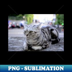sphinx cat  swiss artwork photography - vintage sublimation png download - unleash your inner rebellion