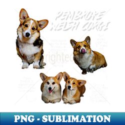 Pembroke Welsh Corgi Fun Facts - PNG Transparent Sublimation Design - Add a Festive Touch to Every Day