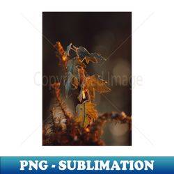 Autumn morning - Decorative Sublimation PNG File - Fashionable and Fearless