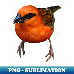 Little red bird  Swiss Artwork Photography - Special Edition Sublimation PNG File - Unleash Your Inner Rebellion