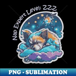 Nap Expert Level ZZZ - Vintage Sublimation PNG Download - Fashionable and Fearless