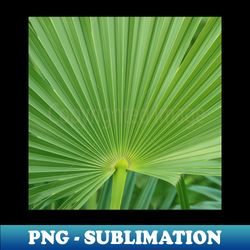 Palm Leaf - High-Resolution PNG Sublimation File - Perfect for Sublimation Mastery