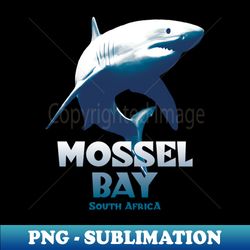 Mossel Bay Shark Diving - PNG Transparent Sublimation File - Perfect for Personalization
