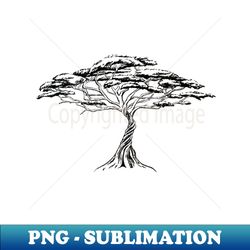 whistling thorn  zen bonsai african tree black and white illustration - premium png sublimation file - perfect for personalization
