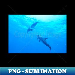 Dolphins swimming underwater - Creative Sublimation PNG Download - Enhance Your Apparel with Stunning Detail