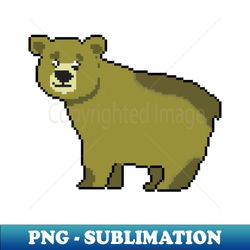 Bear Euphoria - PNG Sublimation Digital Download - Perfect for Creative Projects