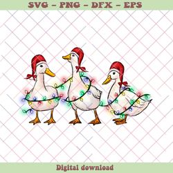 Funny Animals Christmas Ducks Santa Hat PNG Download