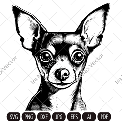 Toy Terrier svg, Toy Terrier svg file , Toy Terrier printable tshirt design, Toy terrier head svg, Toy terrier face svg,