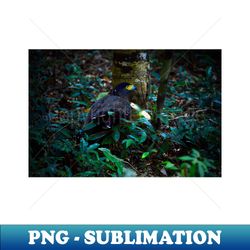 eagle ii  swiss artwork photography - decorative sublimation png file - unleash your inner rebellion