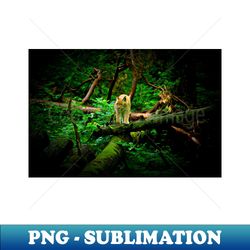 The Lynx  Swiss Artwork Photography - PNG Sublimation Digital Download - Defying the Norms