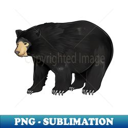 Drawing of an American black bear - Premium PNG Sublimation File - Perfect for Creative Projects