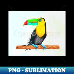 Toucan - Unique Sublimation PNG Download - Unleash Your Creativity