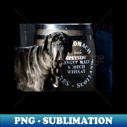 whiskey dog  swiss artwork photography - decorative sublimation png file - instantly transform your sublimation projects