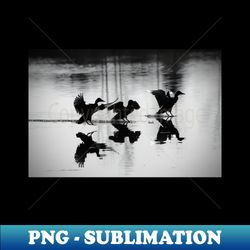 3 Ducks  Swiss Artwork Photography - Signature Sublimation PNG File - Fashionable and Fearless