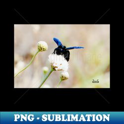 blue bee  swiss artwork photography - vintage sublimation png download - enhance your apparel with stunning detail