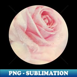 Antique Rose - PNG Transparent Sublimation Design - Perfect for Personalization
