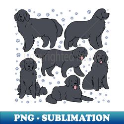 The Newfoundland dog illustration - Stylish Sublimation Digital Download - Revolutionize Your Designs
