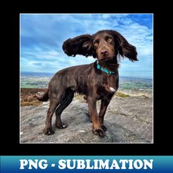 the cloud - nature dog photo - high-quality png sublimation download - revolutionize your designs