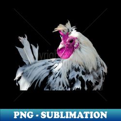 rooster  swiss artwork photography - vintage sublimation png download - spice up your sublimation projects