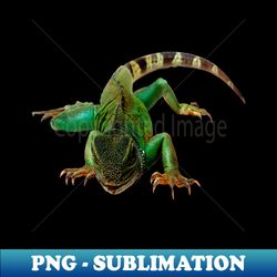 Green Iguana - Aesthetic Sublimation Digital File - Unleash Your Creativity
