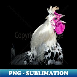 rooster 1  swiss artwork photography - vintage sublimation png download - unlock vibrant sublimation designs