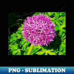 Beautiful Purple Flower Blooming In Spring Landscape - Sublimation-Ready PNG File - Enhance Your Apparel with Stunning Detail