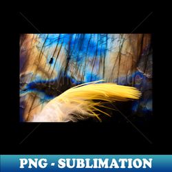 Feather yellow macro - Vintage Sublimation PNG Download - Defying the Norms